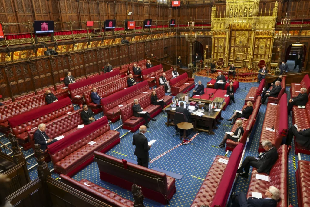 Speaking About Democracy in the House of Lords