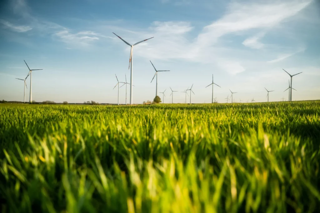 A Liberal Approach to Our Broken Energy Policies: Fantasy vs. Reality of Net Zero 2050