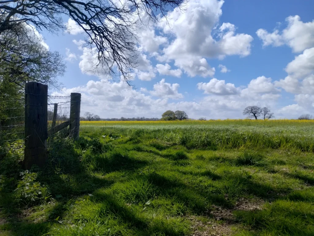 Agriculture and Rural Affairs in the 21st Century: A Blueprint for Sustainability