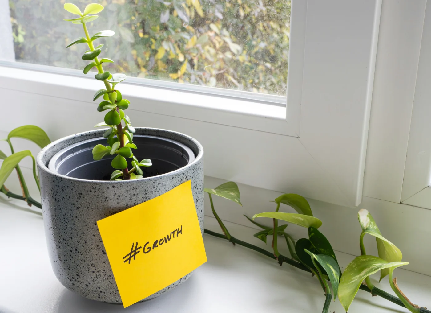 A small potted plant next to a window. A yellow sticky note is stuck to the pot. "#GROWTH" is written on the note in black.